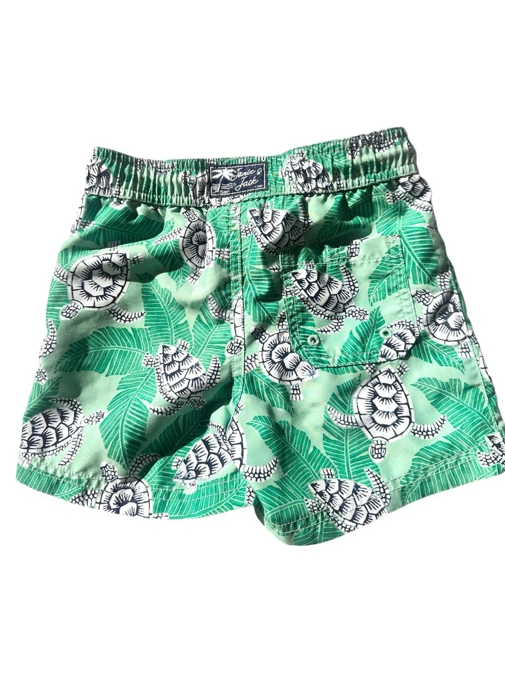Janie and Jack - Recycled Sea Turtle Swim Trunk - Boys Size 4